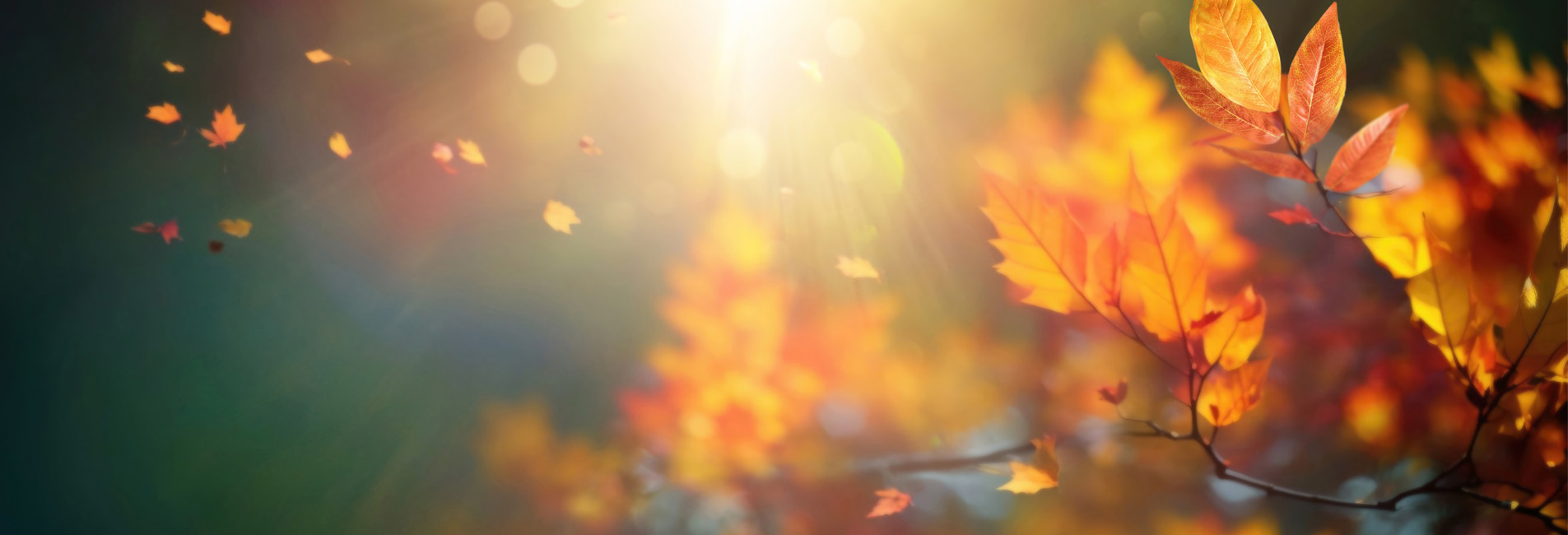 Herbst & Winter Aktion